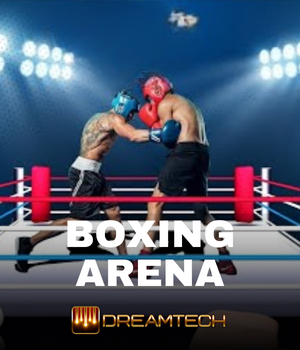 Boxing Arena